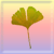 Salisburia :iconsalisburia: