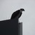saltyseadog :iconsaltyseadog: