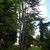 SammySurfer :iconsammysurfer: