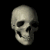 Sanarchym :iconsanarchym: