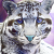 Sand-Whisker :iconsand-whisker: