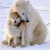 sandypickle :iconsandypickle: