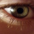 SarahBeara231 :iconsarahbeara231: