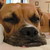 sarahchalmers :iconsarahchalmers: