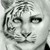 saravalentine29 :iconsaravalentine29: