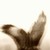 SashaAignes :iconsashaaignes: