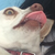 SassyNoodles :iconsassynoodles: