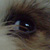savemysoultonight :iconsavemysoultonight: