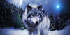 SaveTheCanisLupus's avatar