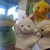 ScarletMoon42 :iconscarletmoon42: