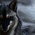 scarter56 :iconscarter56: