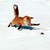 Scarth1 :iconscarth1:
