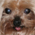 DeviantArt profile picture for @schoolWork on DeviantArt
