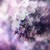 scintillatejoy :iconscintillatejoy: