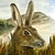 ScotsWildNature :iconscotswildnature: