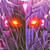 screamster :iconscreamster: