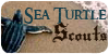 Sea-Turtle-Scouts's avatar