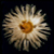 DeviantArt profile picture for @sea on DeviantArt