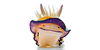 Seaslugs-folk's avatar