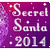 :iconsecret-santa2012:
