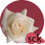 secrets-can-kill06 :iconsecrets-can-kill06: