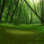 SecretWoods89 :iconsecretwoods89: