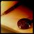 seekerofsigns :iconseekerofsigns: