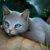 SegaGameCube123 :iconsegagamecube123: