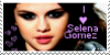 Selenastampplz's avatar