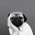 selenator22 :iconselenator22: