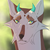 Ser-wolf :iconser-wolf: