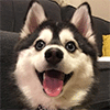 SeratN :iconseratn: