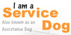 ServiceDogEducation's avatar