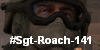 Sgt-Roach-141's avatar