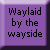 Shade-chan :iconshade-chan: