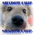 ShadowChip :iconshadowchip: