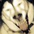 ShadowstrikeArtists :iconshadowstrikeartists: