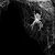 Shadowweb101 :iconshadowweb101:
