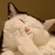 ShakalLuan :iconshakalluan: