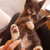 Shapmaiore :iconshapmaiore: