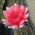 :iconsharon-photography: