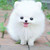 Sharpclaws22 :iconsharpclaws22: