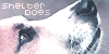 ShelterDogs's avatar