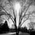 ShemOrion :iconshemorion: