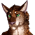 Sheppherd :iconsheppherd: