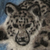 Sherval :iconsherval: