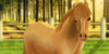 Shetland-pony-HARPG's avatar