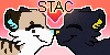 Ship-Them-Ask-Cats's avatar