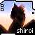 shiroi-ryu :iconshiroi-ryu: