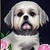 shiztupup :iconshiztupup: